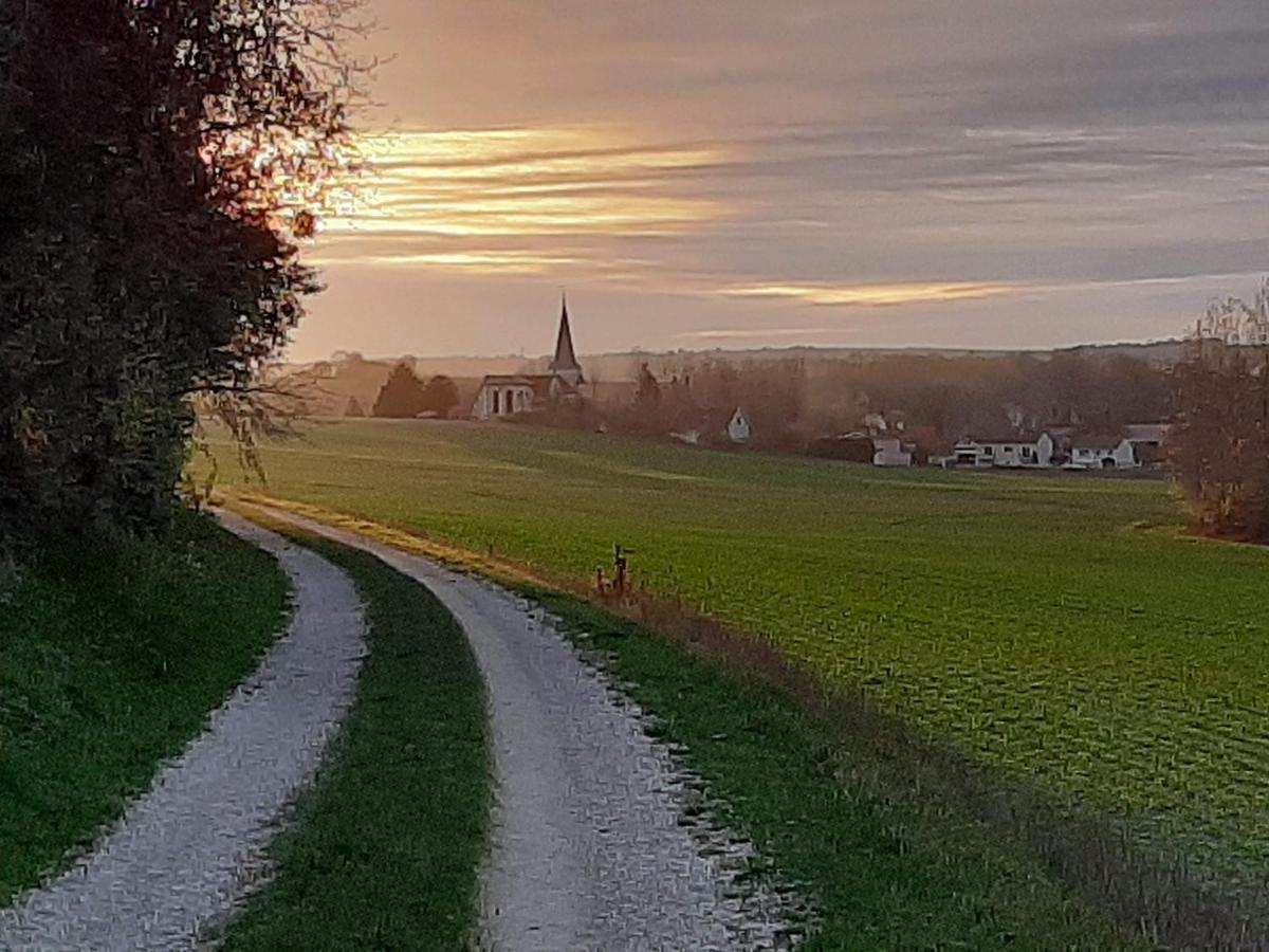 Chatrou Chatelraould-Saint-Louvent Екстер'єр фото